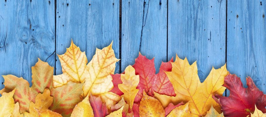 Changing of the Seasons, Changes in Ourselves » Community | GovLoop