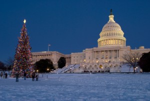 Capitol Christmas Tree