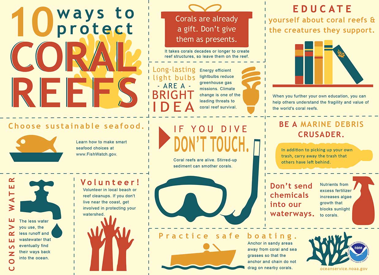 Infographic: 10 Ways to Protect Coral Reefs by NOAA