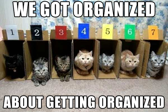 types-government-employees-organized