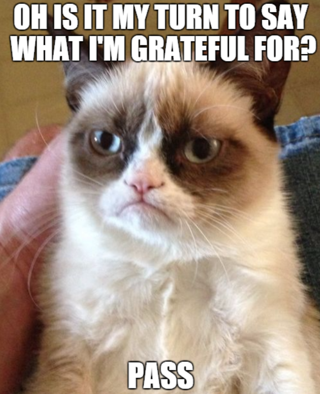 grateful-pass-grumpy-cat