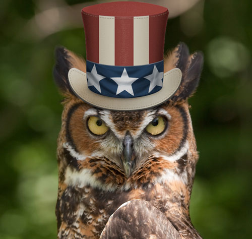 patriotic-owl-spirit-animal