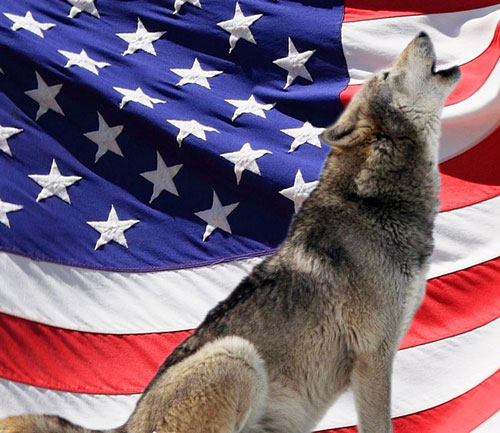 patriotic-wolf-spirit-animal