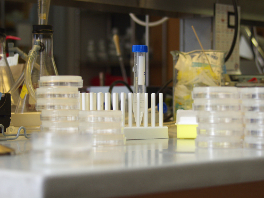 From Bench Scientist to Desk Champion Transitioning to a Managerial