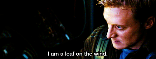 image of a man saying I am a leaf on the wind
