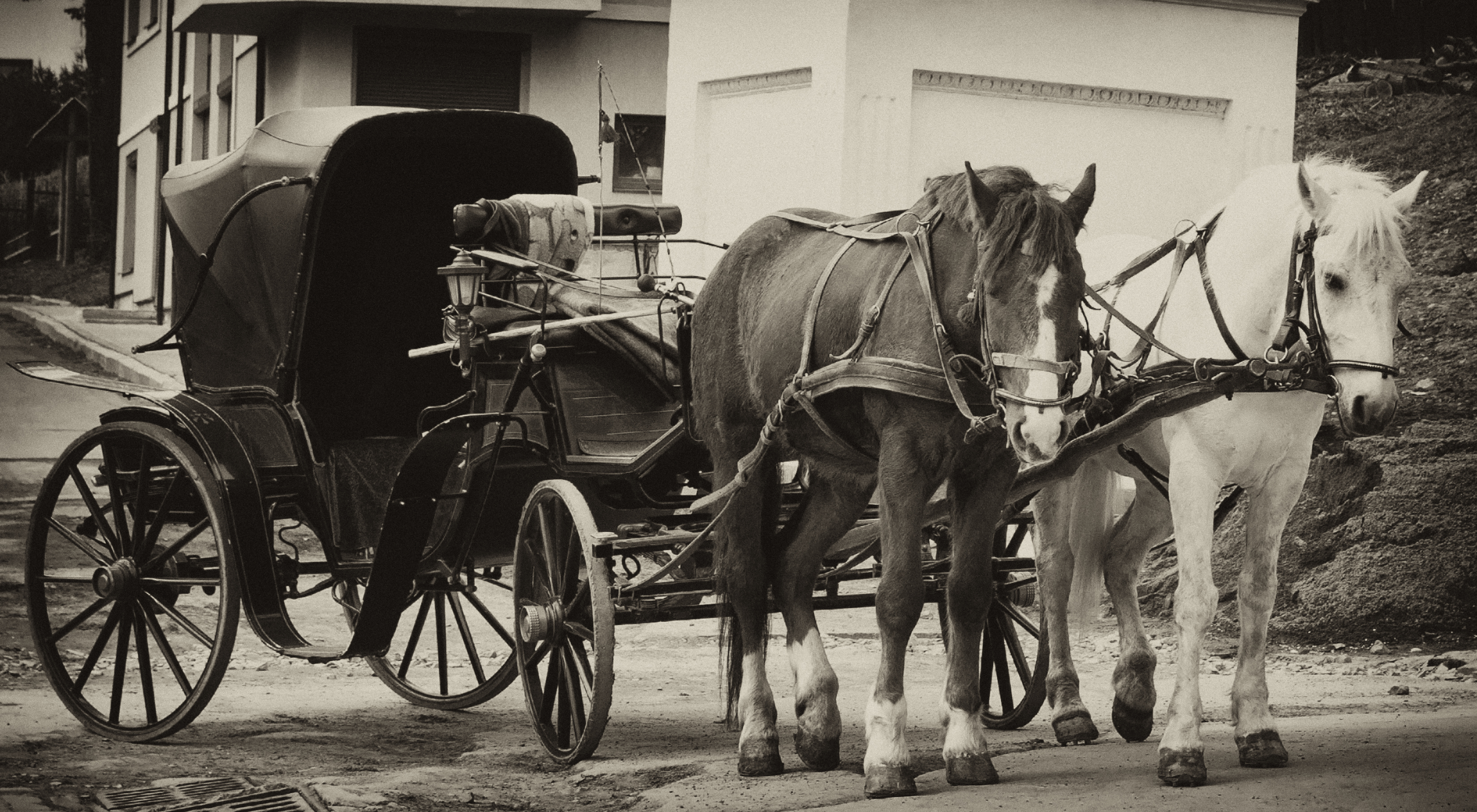 Photo of horse and carriage