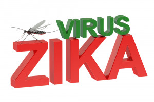 Zika virus concept isolated on green background