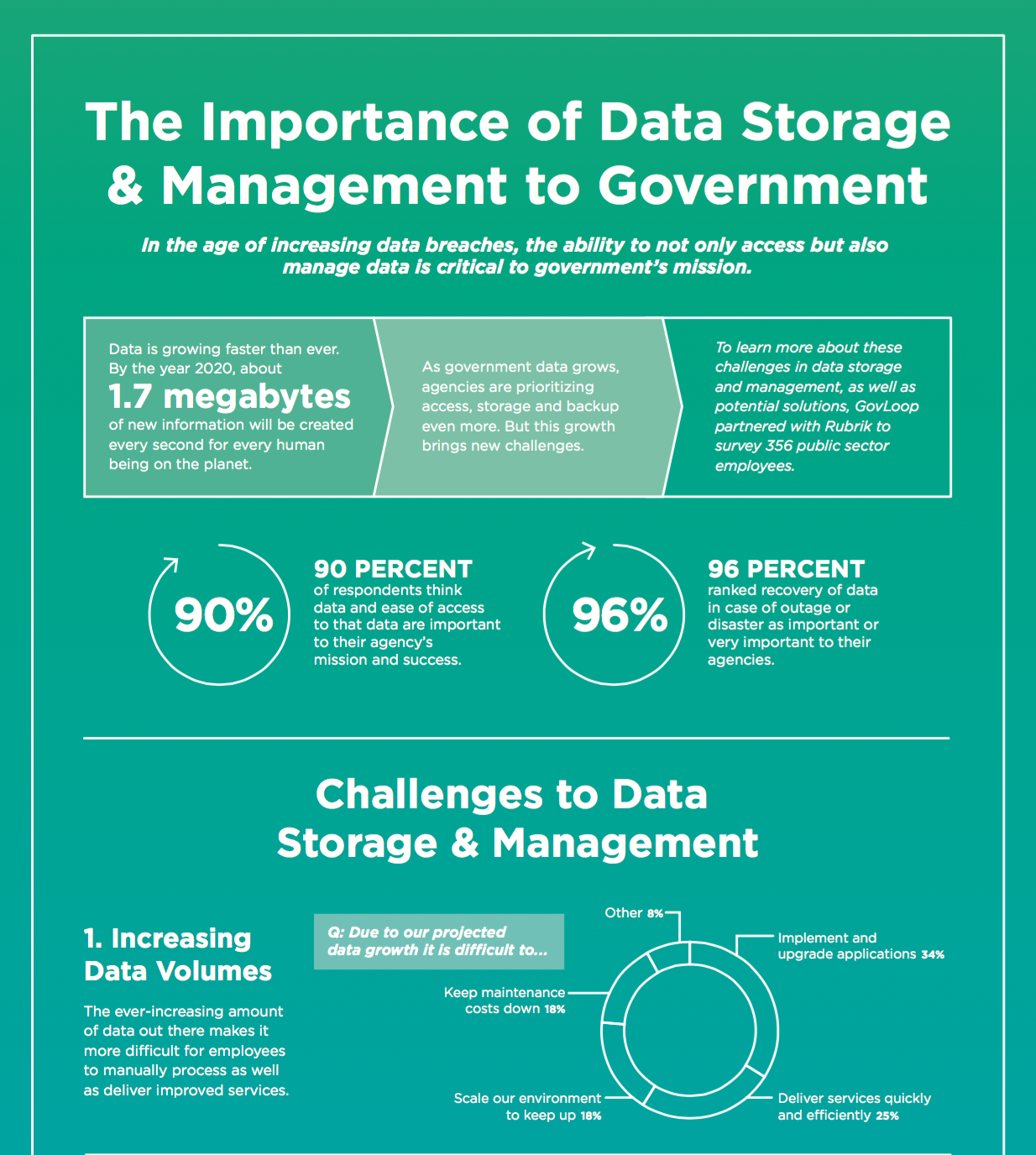 Storage Management The Issues The Options And