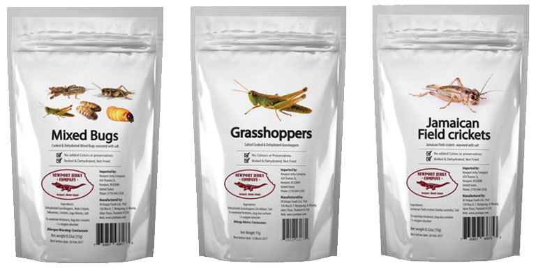 holiday gift ideas Bag of Bugs