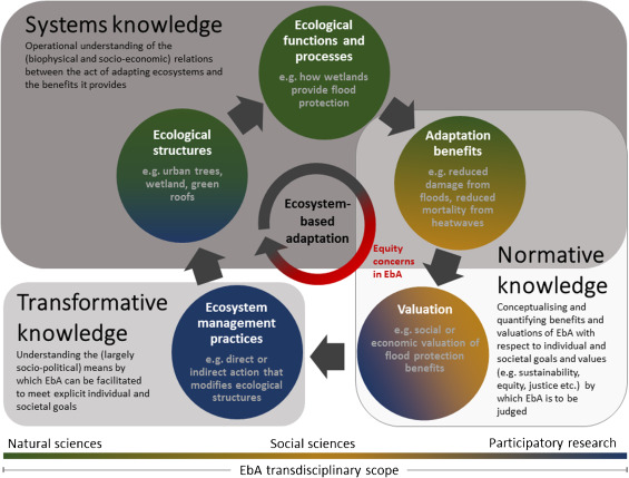 Ecosystem-based Adaptation (EbA) for Reducing Community