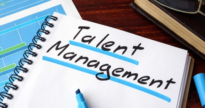 What is human talent?