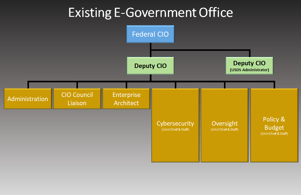 An org chart of the OMB Office of E-Government and Information Technology