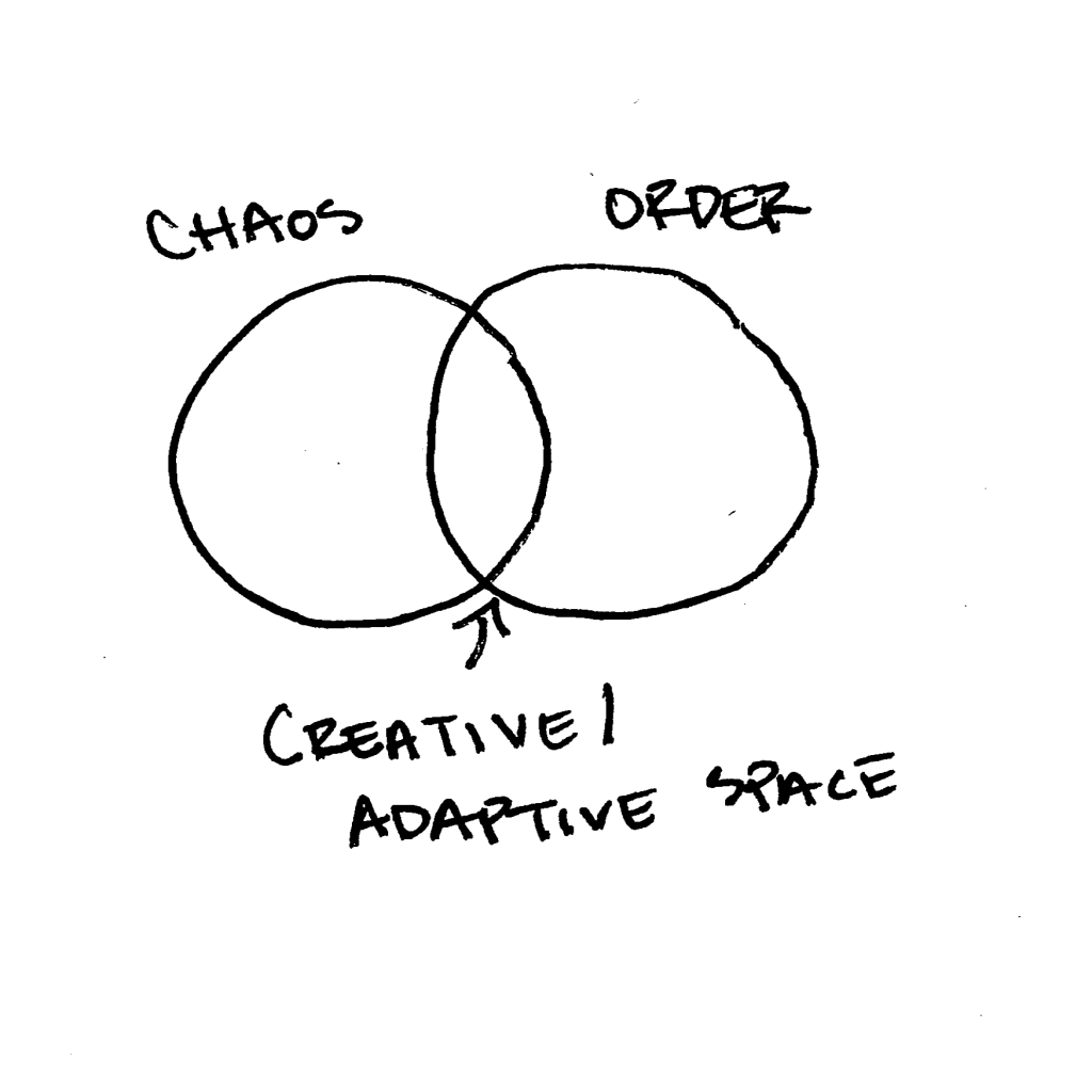 A sketch of the overlapping spheres of Chaos and Order, with the intersection representing creative or adaptive space.
