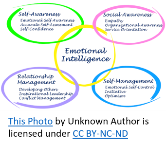 illustration of emotional intelligence circling and linking attributes. 