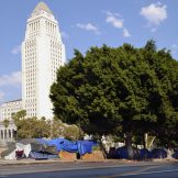 image thumbnail link to Mapping Assists Thousands Counting LA County’s Homeless Population 