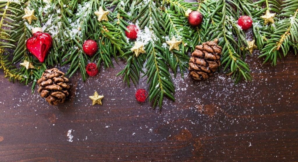 Winter scene with pinecones and cranberries