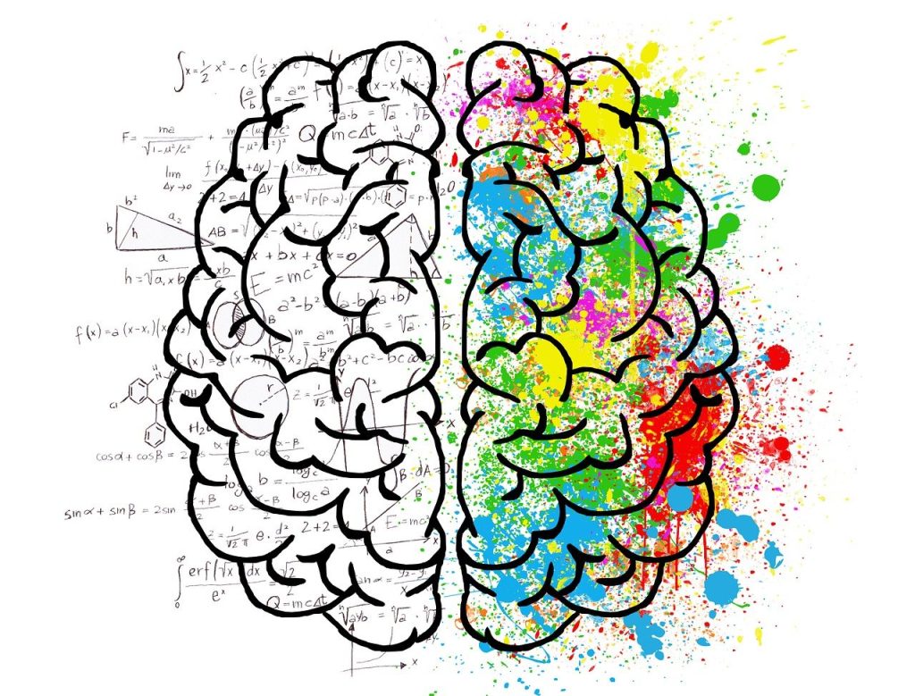 Drawing of a brain, highlighting math on the left side and art on the right side.