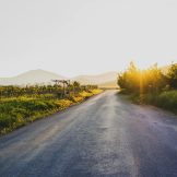 image thumbnail link to Nature’s Remedy: How You Can Combat Burnout and Boost Well-Being 