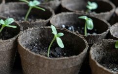 image link for Winning Career Tips