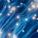 image thumbnail link to Closing the AI Skills Gap in Government: A Practical Path for State and Local Workforce