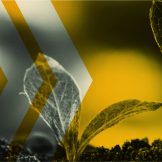 image thumbnail link to It’s Time to Break Out at NextGen (Pt. I)