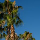 image thumbnail link to When “Full Coverage” Isn’t Full: Why Rancho Mirage Is Mapping Wireless Gaps